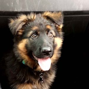 Meet your Posher, Marc